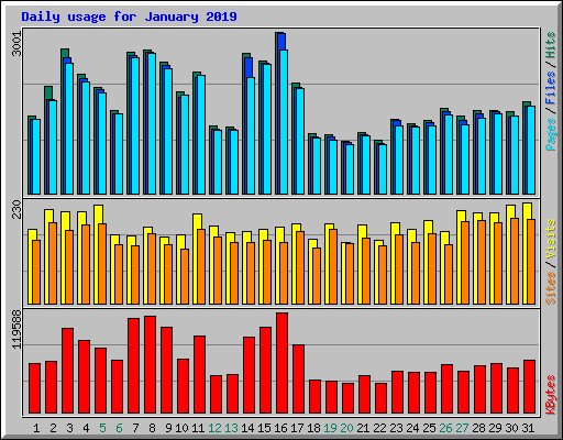 Daily usage for January 2019