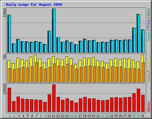 Daily usage for August 2020