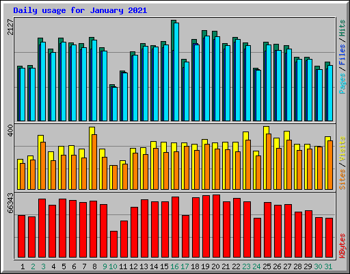 Daily usage for January 2021