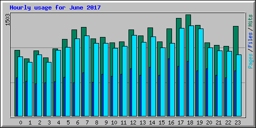 Hourly usage for June 2017