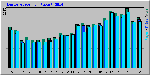 Hourly usage for August 2018
