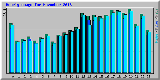 Hourly usage for November 2018