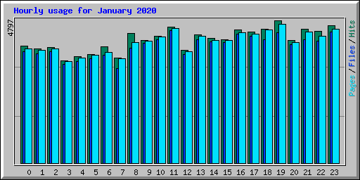 Hourly usage for January 2020