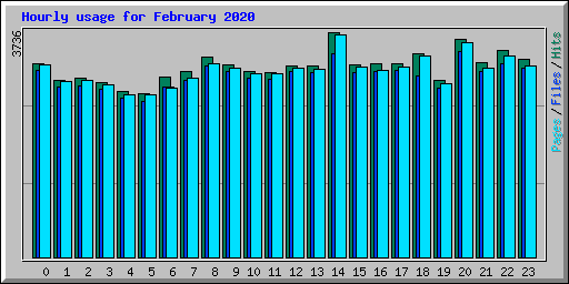Hourly usage for February 2020