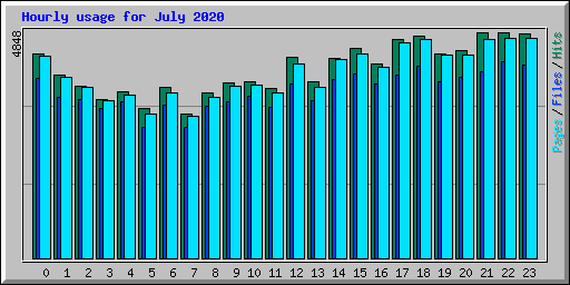 Hourly usage for July 2020