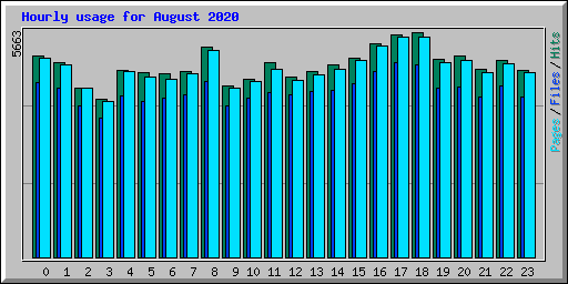 Hourly usage for August 2020