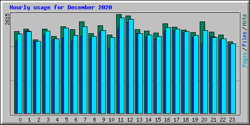 Hourly usage for December 2020