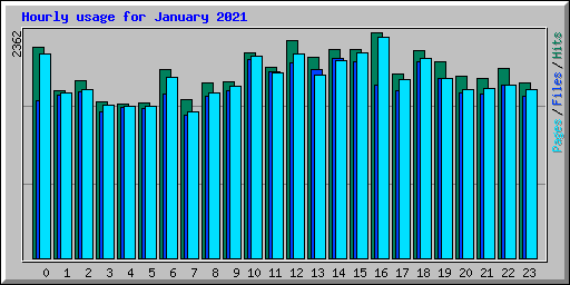 Hourly usage for January 2021