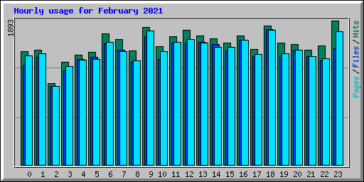 Hourly usage for February 2021