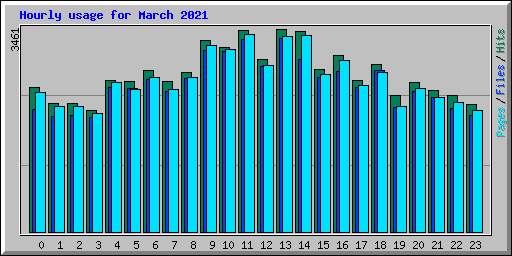 Hourly usage for March 2021