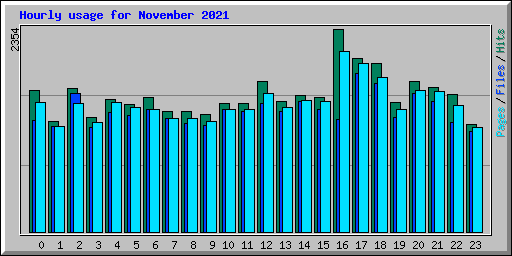 Hourly usage for November 2021