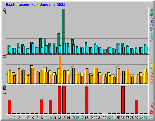 Daily usage for January 2021