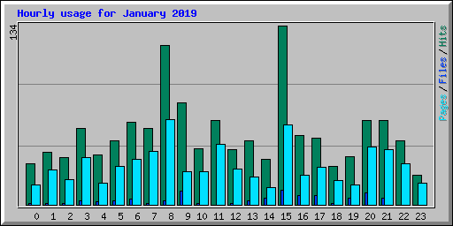 Hourly usage for January 2019