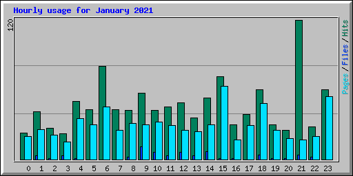 Hourly usage for January 2021