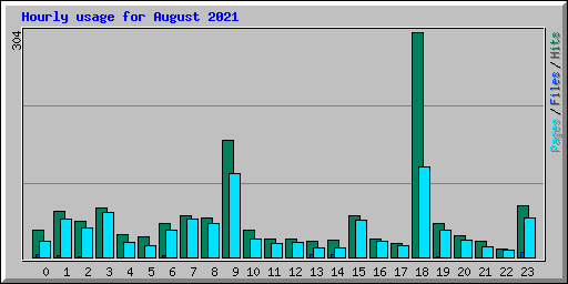 Hourly usage for August 2021