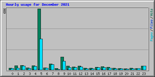 Hourly usage for December 2021