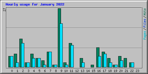Hourly usage for January 2022