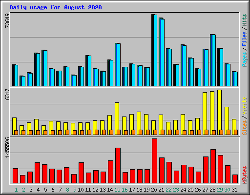 Daily usage for August 2020