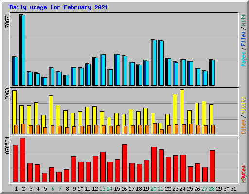 Daily usage for February 2021