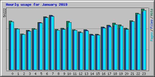 Hourly usage for January 2019