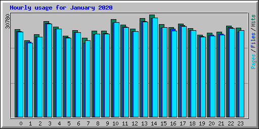 Hourly usage for January 2020