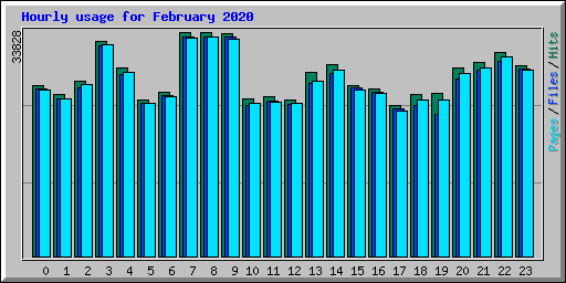 Hourly usage for February 2020