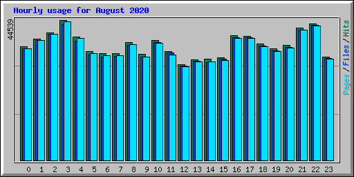 Hourly usage for August 2020
