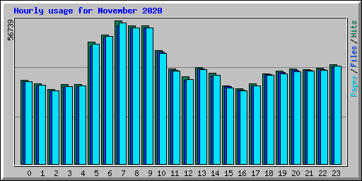 Hourly usage for November 2020