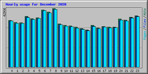 Hourly usage for December 2020