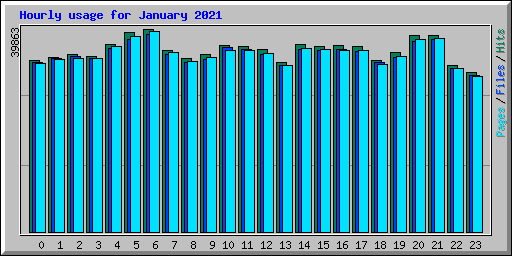 Hourly usage for January 2021