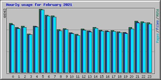 Hourly usage for February 2021