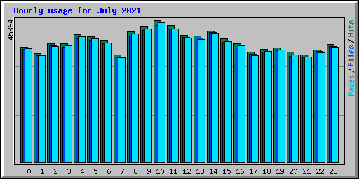 Hourly usage for July 2021