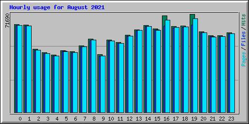 Hourly usage for August 2021