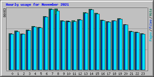 Hourly usage for November 2021