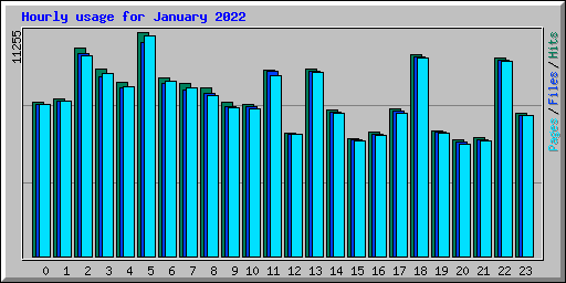 Hourly usage for January 2022