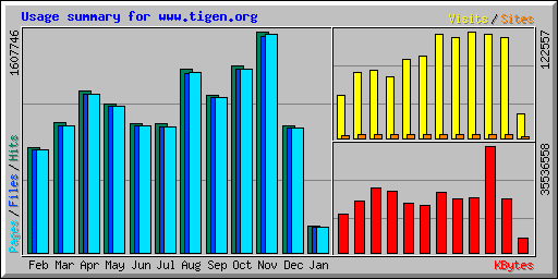 Usage summary for www.tigen.org