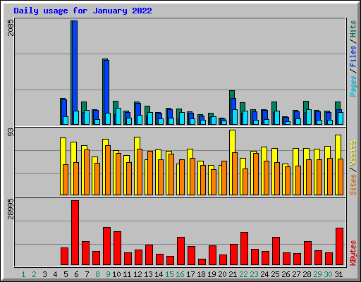 Daily usage for January 2022