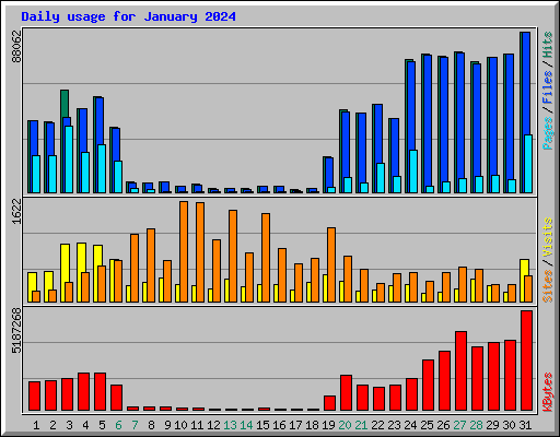 Daily usage for January 2024