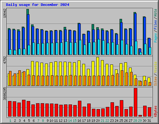 Daily usage for December 2024