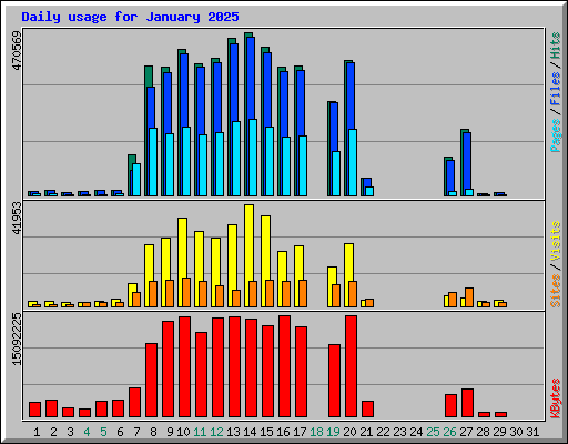 Daily usage for January 2025