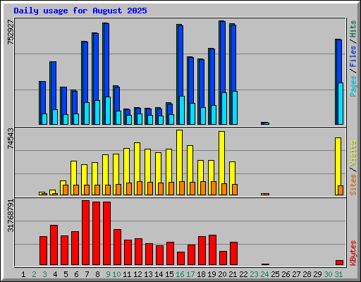 Daily usage for August 2025
