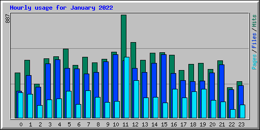 Hourly usage for January 2022