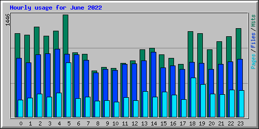 Hourly usage for June 2022