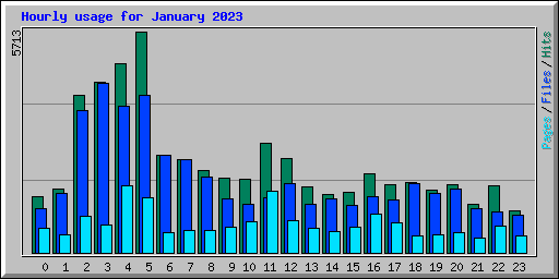 Hourly usage for January 2023