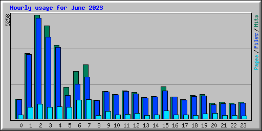 Hourly usage for June 2023