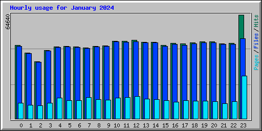 Hourly usage for January 2024