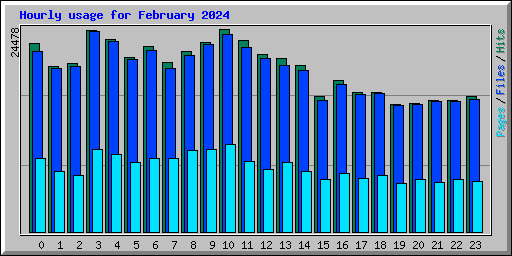 Hourly usage for February 2024