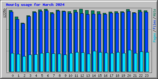 Hourly usage for March 2024