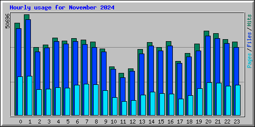 Hourly usage for November 2024