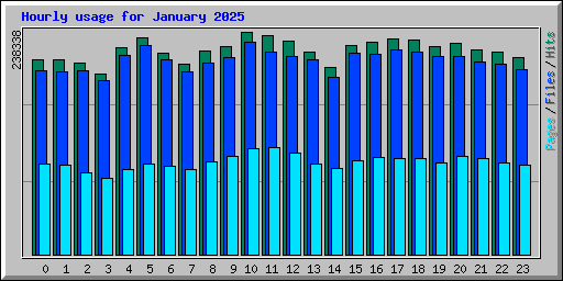 Hourly usage for January 2025
